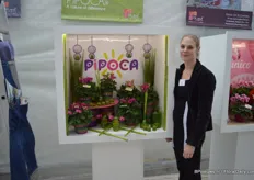 Marlies Bensdorp de Labaca, from the French breeder Morel Diffusion, with the new concept Pipoca