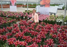 Jessica van de Wetering van Lily Looks told us all about the newest varieties