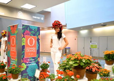 Models presenting the flowers of Dümmen Orange.
