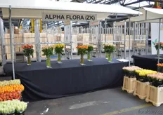 ZK Flowers grows 7 varities in a 9.5 ha sized greenhouse. In three months, the will start producing La Belle and Belle Rose.