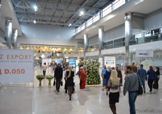 Entering the exhibition hall.
