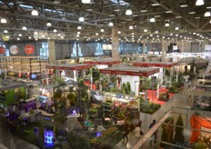 Elevated view exhibition.