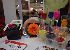 The Eternity roses of Rosa de Saron. They have 6 of these kind of roses; 5 colors and 1 rainbow color (see rose on the left).