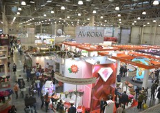 Elevated view of the exhibition.