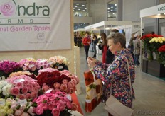 Visitor making photos of the flowers of Alexandra farms.