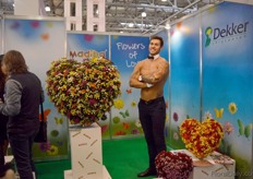 The model of Dekker Chrysanten.