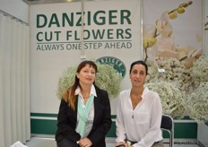 The Israeli Breeder Danziger was also at the show. On the left Natasha Ofeck and on the right Anat Moshes. They are presenting their cut flowers and in particular their new Explora gypsofilia. This is a purple colored gypsofilia.