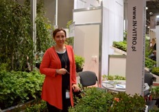 Alicja of Pelson of In Vitro. Produces In Vitro young plants in Poland and export them mainly to Europe.