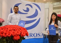 Camilo Osorio and Jacqueline Males of AAAS Corporation. They grow about roses 90 varieties of roses in two greenhouses with a total size of 35 ha in Ecuador. Their main markets are USA, Russia and Europe. Currently they are looking for new markets in Asia.