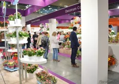 Decorum company consists of 67 Dutch growers. 16 of these growers were presenting their products at the FlowersExpo.