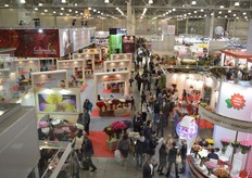 Elevated view exhibition.