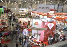 Elevated view exhibition.