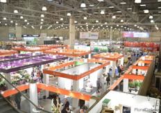 Elevated view exhibition.