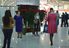 A lot of interest for the large roses of NatuFlora.