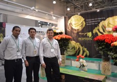 Alejandro Ordonez, Diego Acosta and Esteban Chiriboga of Ecoroses. They grow around 100 different varieties of roses in a 25 ha sized greenhouse in Ecuador.