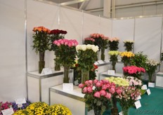 Competition the best quality products.