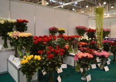 Competition the best quality products.