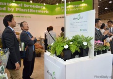 Visitors looking at the booth of Vitro Plus at the Kaneya booth.