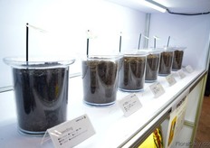 Pindstrup presented in the Kaneya booth.