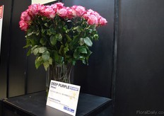 Deep Purple of Ecuanros won the Best Overseas Grower award.