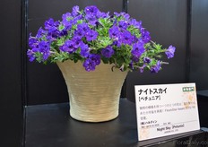 Niht Sky of Jardin won the runner up Flower award.