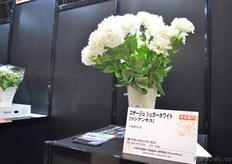 Corsage Sugar White of Nakasone Lisianthus won the runner up Flower award.