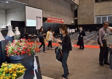 Visitor making pictures of plants, one of the Flower Awards contestants.