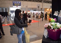 Visitor making pictures of plants, one of the Flower Awards contestants.