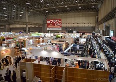Elevated view of the show.