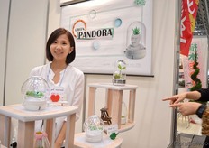 Cindy Lin of Kotec MFG Enterprise. At the show they launched a new product. This product can be used as decoration; a new consumers can decorate their homes with plants.