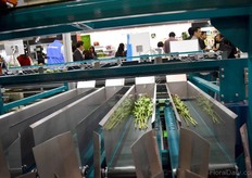 Then the flowers are classified by weigth.