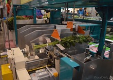 Then they are binded.