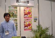 Ichikawa Gardening, Keiichiro Ichikawa. This grower cultivates Hawaiian Plumerias in Japan.