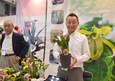 Naoya Keneko of Shiki Flower holding a calla nameed California Red. He grows Golden State Bulb Growers (GSBG) and Captain Calla callas in Japan. The calla is an important flower in Japan, after the carnation and rose. He grows around 30 varieties. The pink and yellow varieties are the most popular varieties.