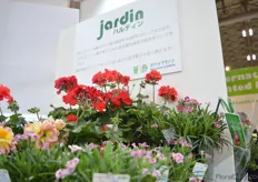 Also the plants of Jardin were presented at the booth of Kaneya.