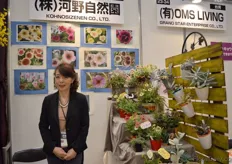 Mayumi Imeya of Kohnosizenen. She grows petunias in Japan for the domestic market.