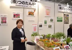 Misako Tsunoda of Tsunoda Nursery. She breeds and grows beddingplants for the domestic Japanese market.