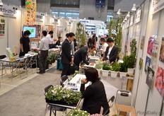 Growers presenting their varieties.