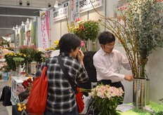 Growers showing their varieties to visitors.