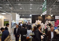 Exhibition floor.