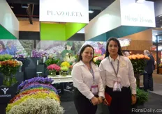 Plazoleta. They are part of the perfection program and grow, statice, Snap dragon, solida and alstroemeria in a 17ha sized greenhouse in Colombia. They mainly export their flowers to the US and Canada and are eager to enter the EU market in the future.