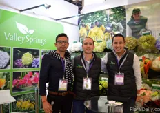 David, Carlos and Mike of Valley Spring. They grow hydrangeas in a 50 ha sized greenhouse in Colombia. Their main export markets are China, US, South Korea, Canada and Netherlands.