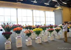 The Flower awards area.