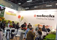 Crowded stand of Selecta.