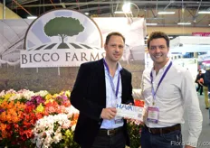 "Mark Fikkers of Havatec, a manufacturer of flower buncher machines, and Daniel Hoyos of Bicco Farms, a Colombian grower of Alstroemeria, Statice, Solidago, Limonium Blue. In February 2016, Havatec will install their new quality buncher 2.0. This flower buncher is especially developed for the Colombian market. "It saves 50% on labor," says Fikkers."