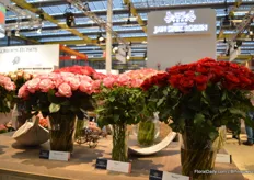 The roses of Jan Spek Rozen.