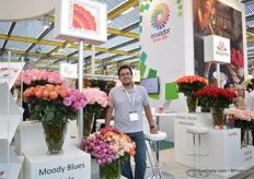 Luis Cadavid of Quito Inor Flowers. They grow roses, spray roses and garden roses in a 7,5 ha sized greenhouse in Ecuador. Their main market is Russia. According to Cadavid, the situation in Russia is more or less stable again.