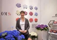 Christina Schmitz of Hydrangea Breeders Association. The Kanmara hydrangea is one of their special hydrangeas which is being cultivated by a few producers in the EU. According to Schmitz, it is a high end product and the flowers buds grow majestic big in the summer. The Kanmara was introduced last year and is increasing in popularity. If retailers want the Kanmera, they also have to take and pay for the belonging POS material. So not only the product, but also the marketing of the product is being sold. However, this special principle only counts for the Kanmara.