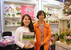 Julian Tung and Patricia Wu of Kyo Orchids. These Taiwanese orchid growers export finished plants, tissue culture and young plants, mainly to Europe, USA, Korea and Japan.