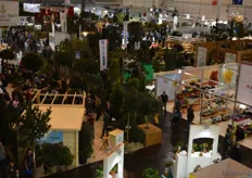 Overview of hall 6